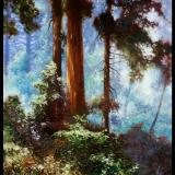 "The Forrest Through the Trees"  ~  SOLD