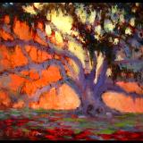 5x7.Avery Oak