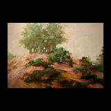 4x6.Treetops