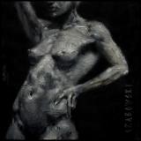 6x6.Belly