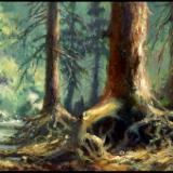 6x8 tracing their roots