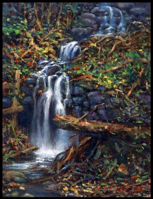 gift.10x8.The Aqua Steps " gift.10x8.The Aqua Steps "