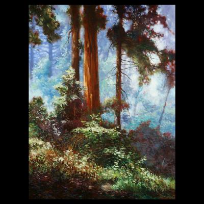 24x18.Forrest Through the Trees 24x18.Forrest Through the Trees