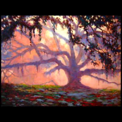 12x16.New Orleans Tree