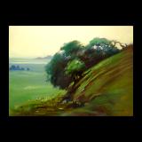 9x12.Hillside Creep