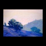 5x7.Treeline 2